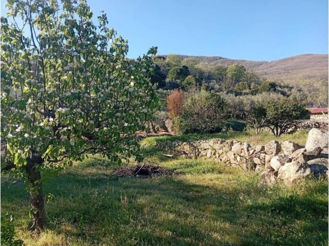 Terreno en venta en Valverde De La Vera, Extremadura