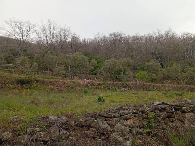 Terreno en venta en Valverde De La Vera, Extremadura