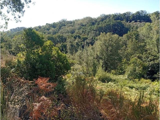 Terreno en venta en Valverde De La Vera, Extremadura