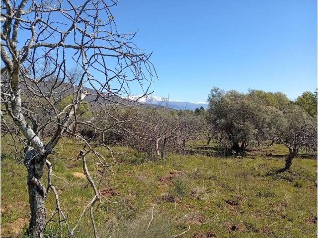 Terreno en venta en Valverde De La Vera, Extremadura
