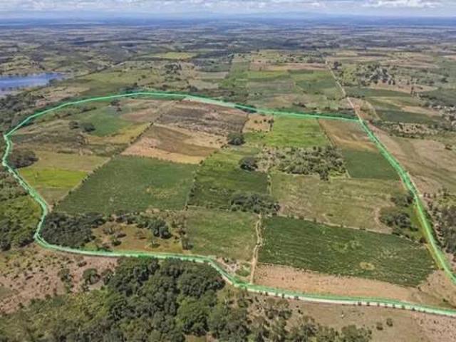 Terreno en venta en Llanos de Olivenza, Extremadura