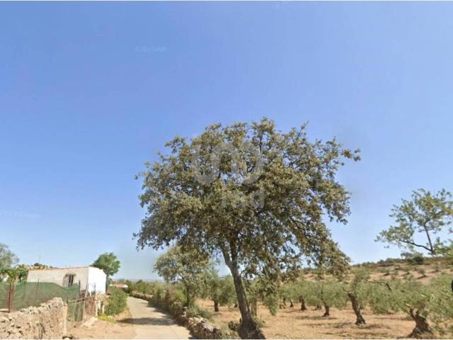 Terreno en venta en Valverde De Llerena