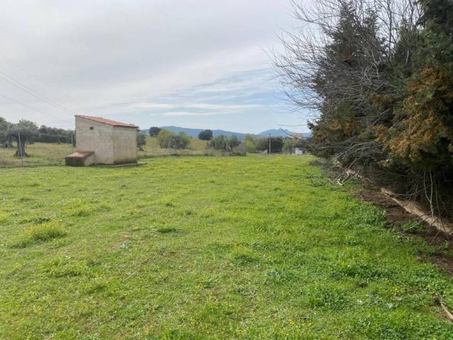 Terreno en venta en Valverde De Mérida, Extremadura