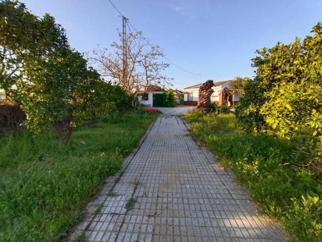 Terreno en venta en Valverde De Mérida, Extremadura