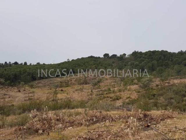 Terreno en venta en El Andévalo, Andalucía