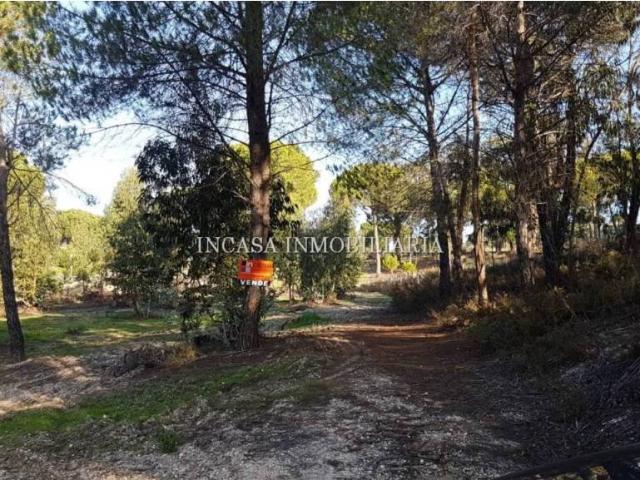 Terreno en venta en El Andévalo, Andalucía