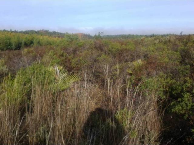 Terreno en venta en El Andévalo, Andalucía