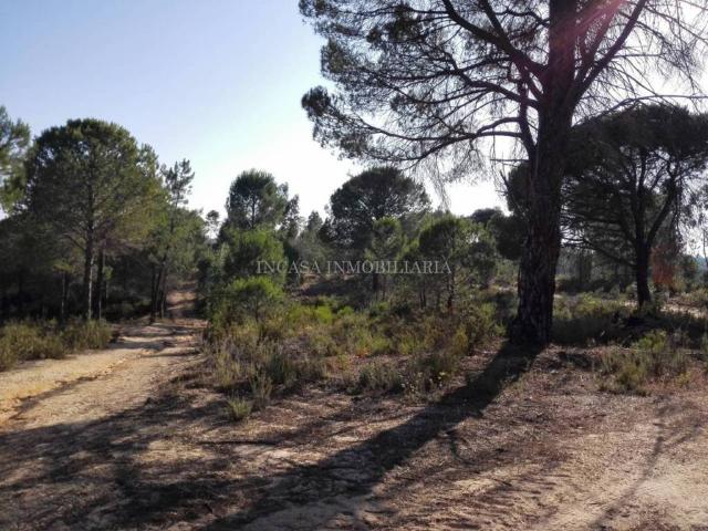 Terreno en venta en El Andévalo, Andalucía