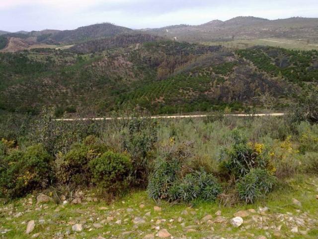 Terreno en venta en Valverde Del Camino