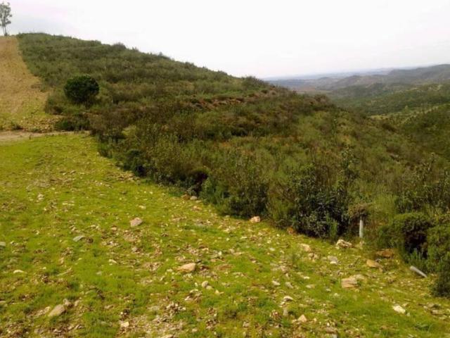 Terreno en venta en El Andévalo, Andalucía