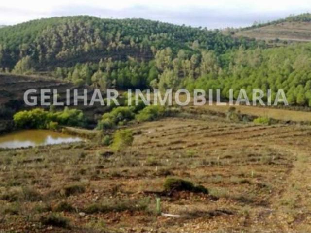 Terreno en venta en Valverde Del Camino
