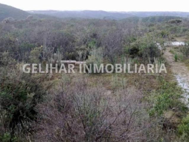 Terreno en venta en Valverde Del Camino