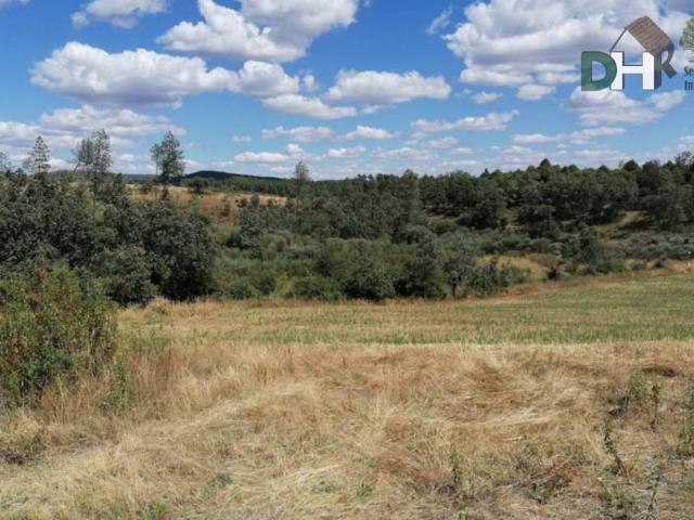 Terreno en venta en Valverde Del Fresno, Extremadura