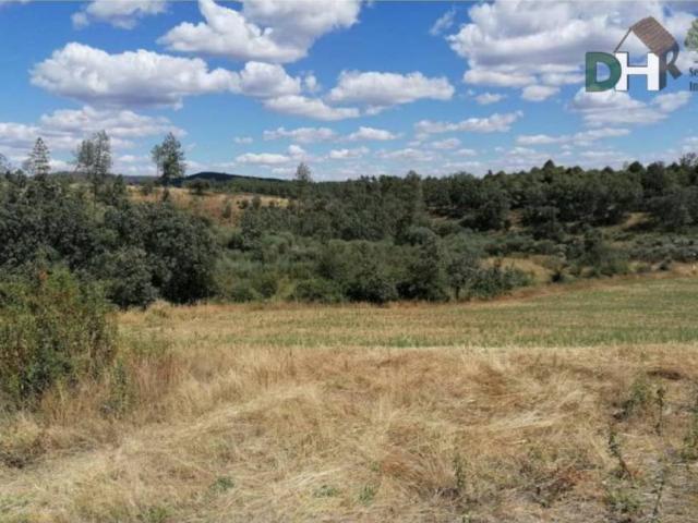 Terreno en venta en Valverde Del Fresno, Extremadura