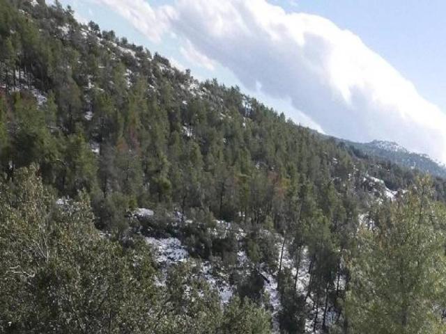 Terreno en venta en Vegas De Matute, Castilla y León