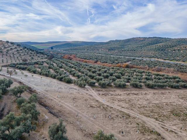 Terreno en venta en El Ventorrillo, Comarca de la Vega de Granada