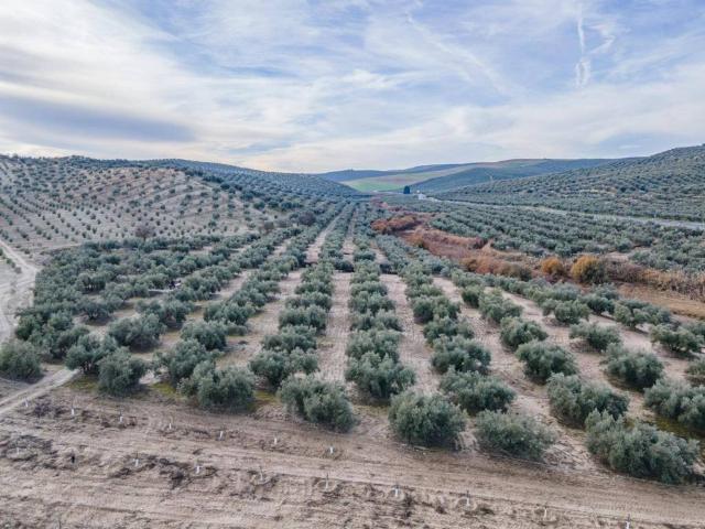 Terreno en venta en El Ventorrillo, Comarca de la Vega de Granada