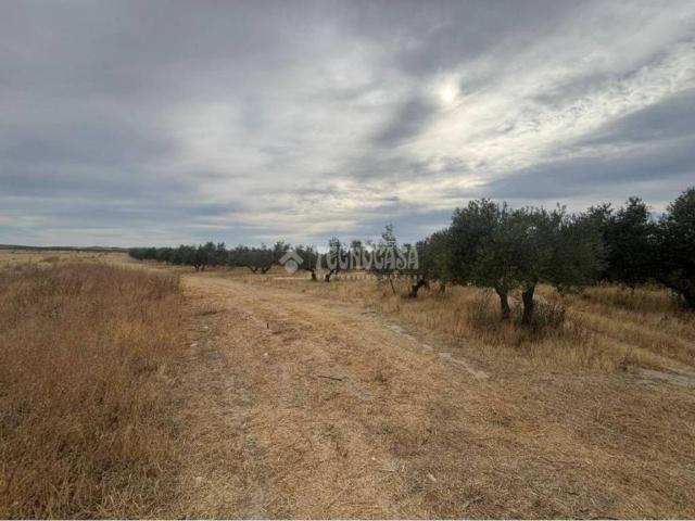 Terreno en venta en Comarca de la Vega de Granada, Andalucía