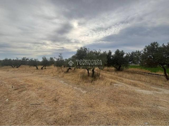 Terreno en venta en Comarca de la Vega de Granada, Andalucía