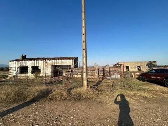 Terreno en venta en Vegaviana, Extremadura