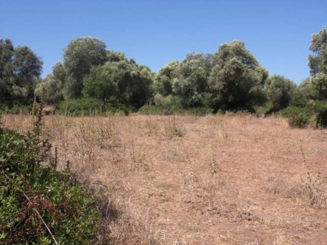 Terreno en venta en La Janda, Andalucía