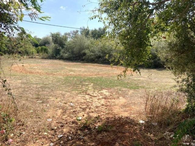 Terreno en venta en La Janda, Andalucía