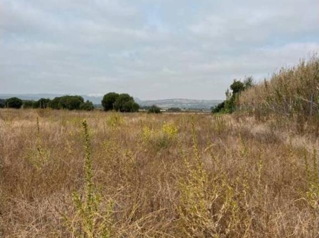 Terreno en venta en La Janda, Andalucía