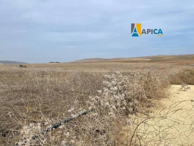 Terreno en venta en La Janda, Andalucía