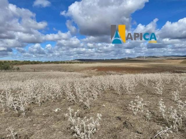 Terreno en venta en La Janda, Andalucía