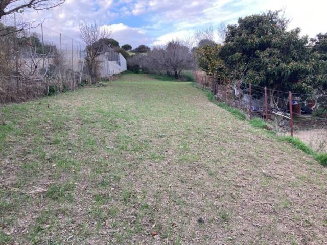 Terreno en venta en La Janda, Andalucía