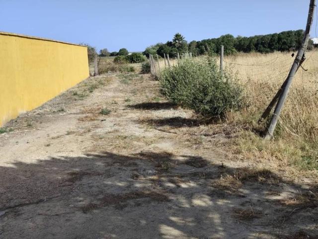 Terreno en venta en La Janda, Andalucía