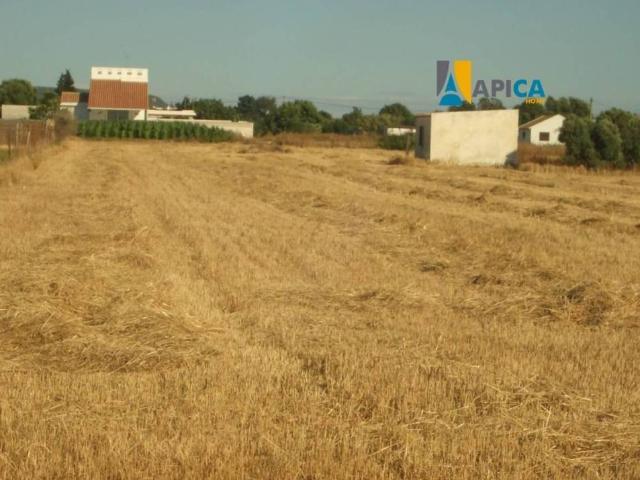 Terreno en venta en La Janda, Andalucía