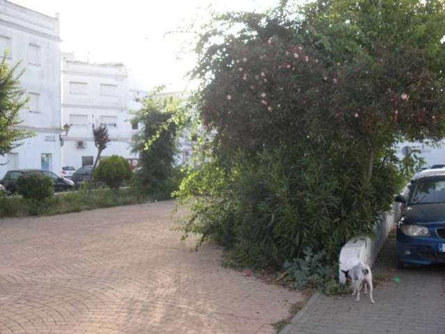 Terreno en venta en La Janda, Andalucía