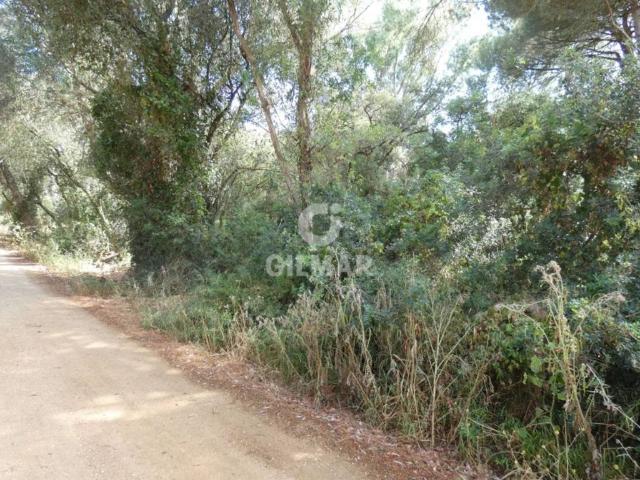 Terreno en venta en La Janda, Andalucía