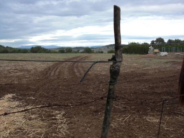 Terreno en venta en La Janda, Andalucía
