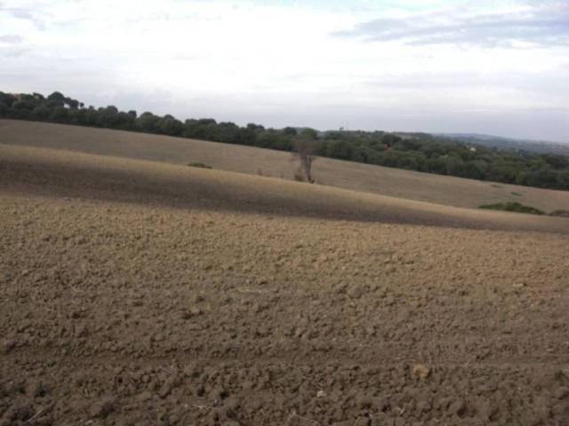Terreno en venta en La Janda, Andalucía