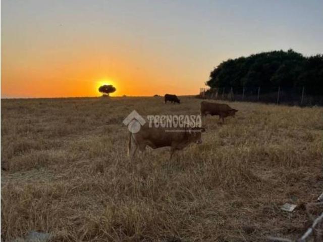 Terreno en venta en La Janda, Andalucía