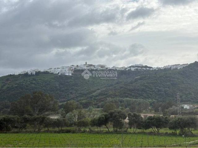 Terreno en venta en La Janda, Andalucía