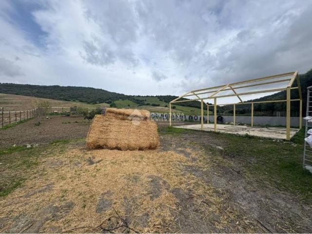 Terreno en venta en La Janda, Andalucía