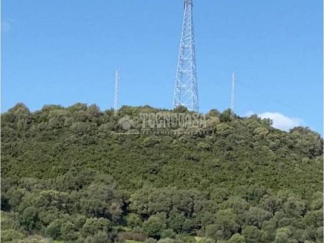 Terreno en venta en La Janda, Andalucía
