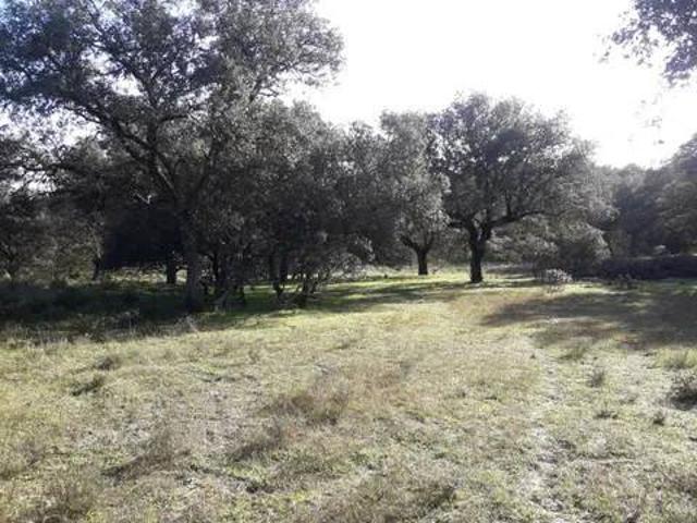 Terreno en venta en Velada, Castilla-La Mancha