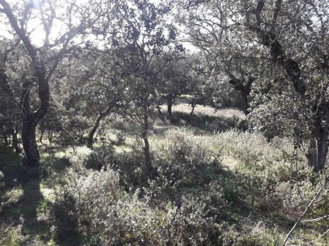 Terreno en venta en Velada