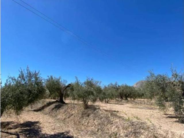 Terreno en venta en Canales, Los Vélez