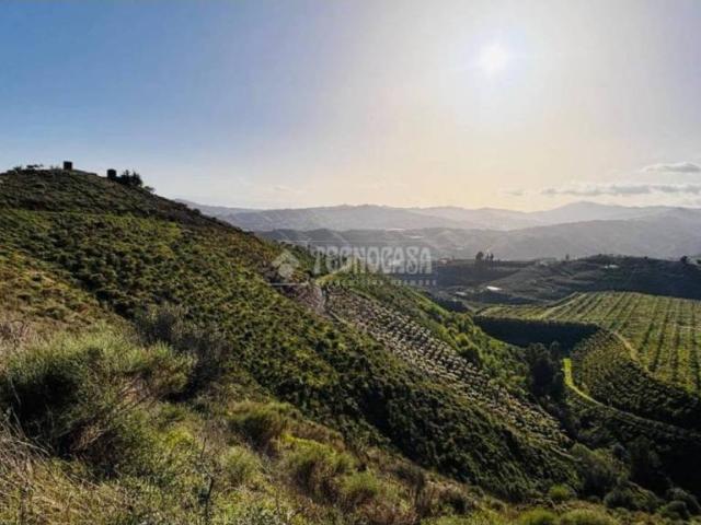 Terreno en venta en La Axarquía, Andalucía