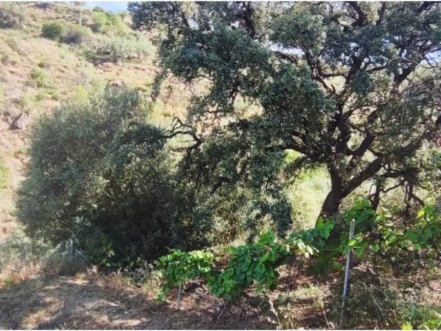 Terreno en venta en La Axarquía, Andalucía