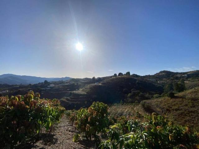 Terreno en venta en La Axarquía, Andalucía
