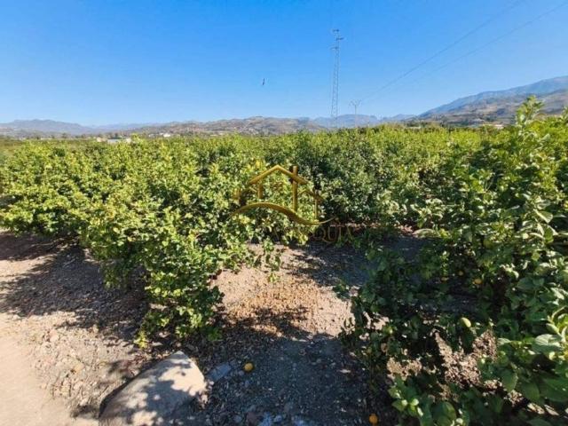 Terreno en venta en La Axarquía, Andalucía