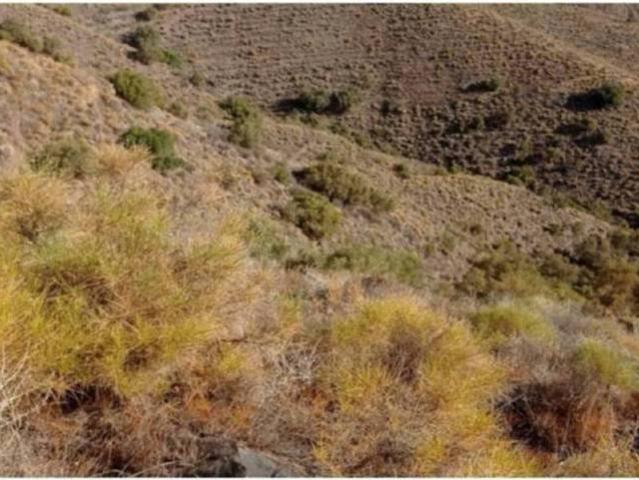 Terreno en venta en Mezquitilla, La Axarquía