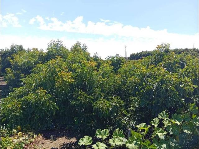 Terreno en venta en La Axarquía, Andalucía