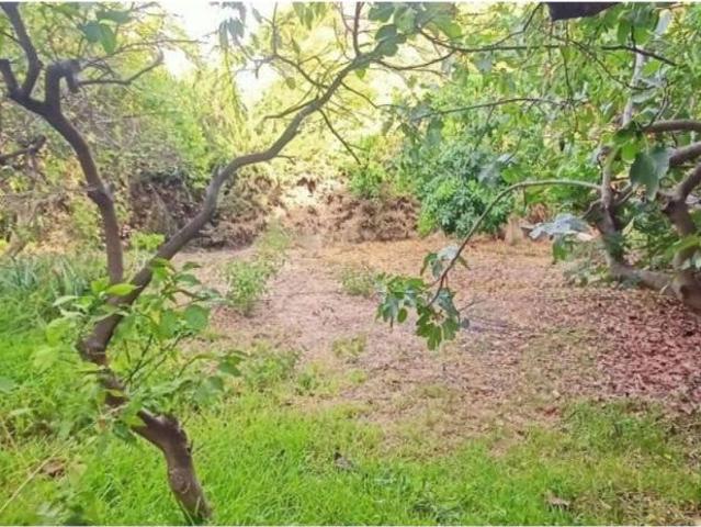 Terreno en venta en La Axarquía, Andalucía